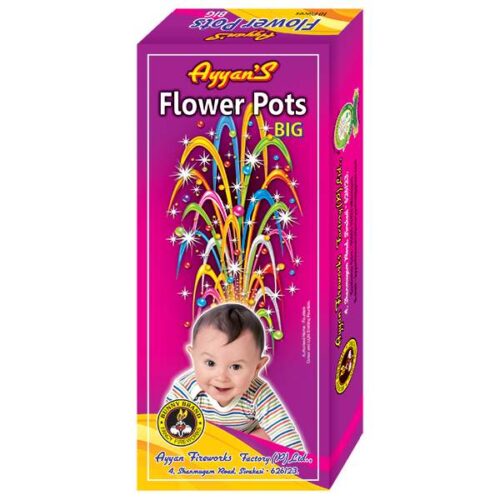 Flower Pots Big(1 Box)